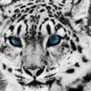 Meet your Posher, Kenya